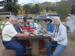 Picnic in the park 2014